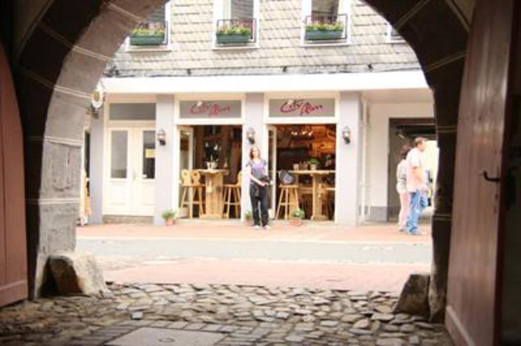 Hotel Garni Kaiserpfalz 戈斯拉尔 外观 照片